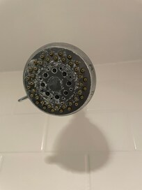Dirty shower head
