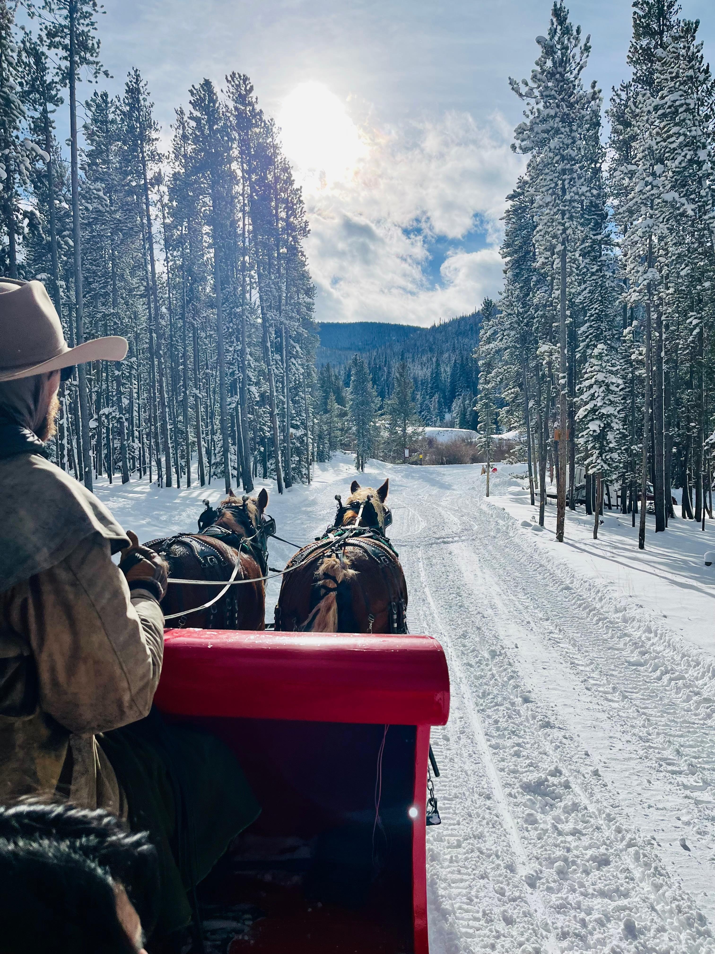 Sleigh ride highly recommend 