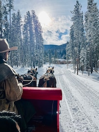 Sleigh ride highly recommend