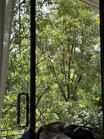 View from bed !!