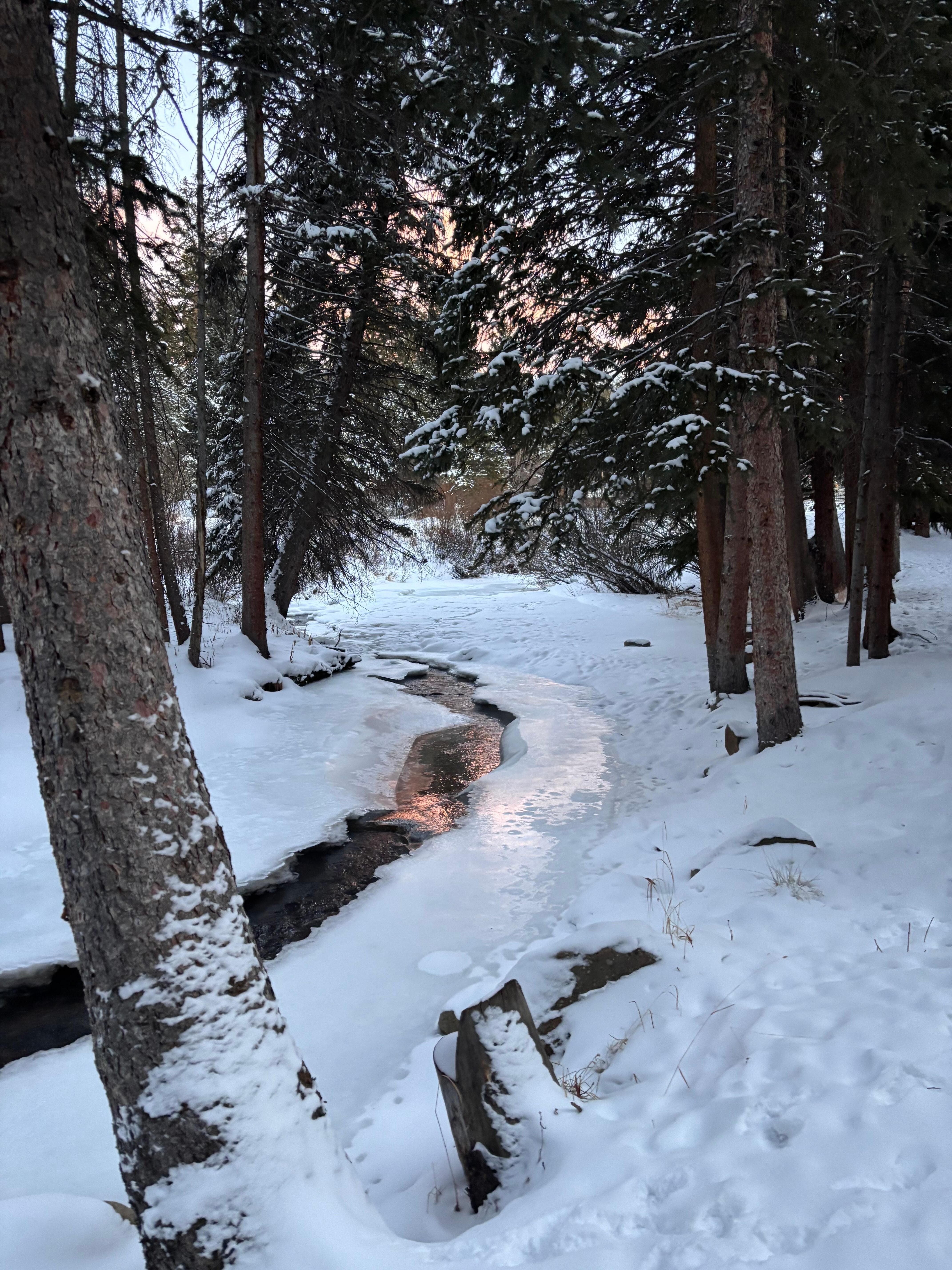 View of the creek from one of the decks