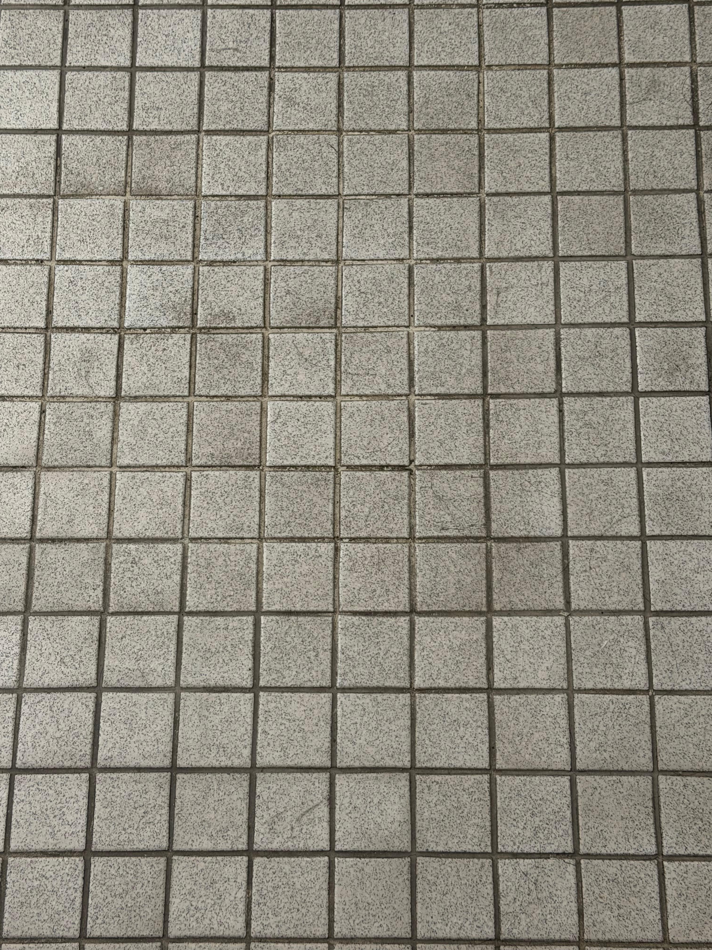 Filthy bathroom floor