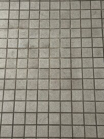 Filthy bathroom floor