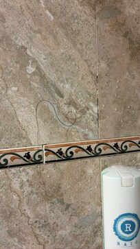 Hair on shower wall