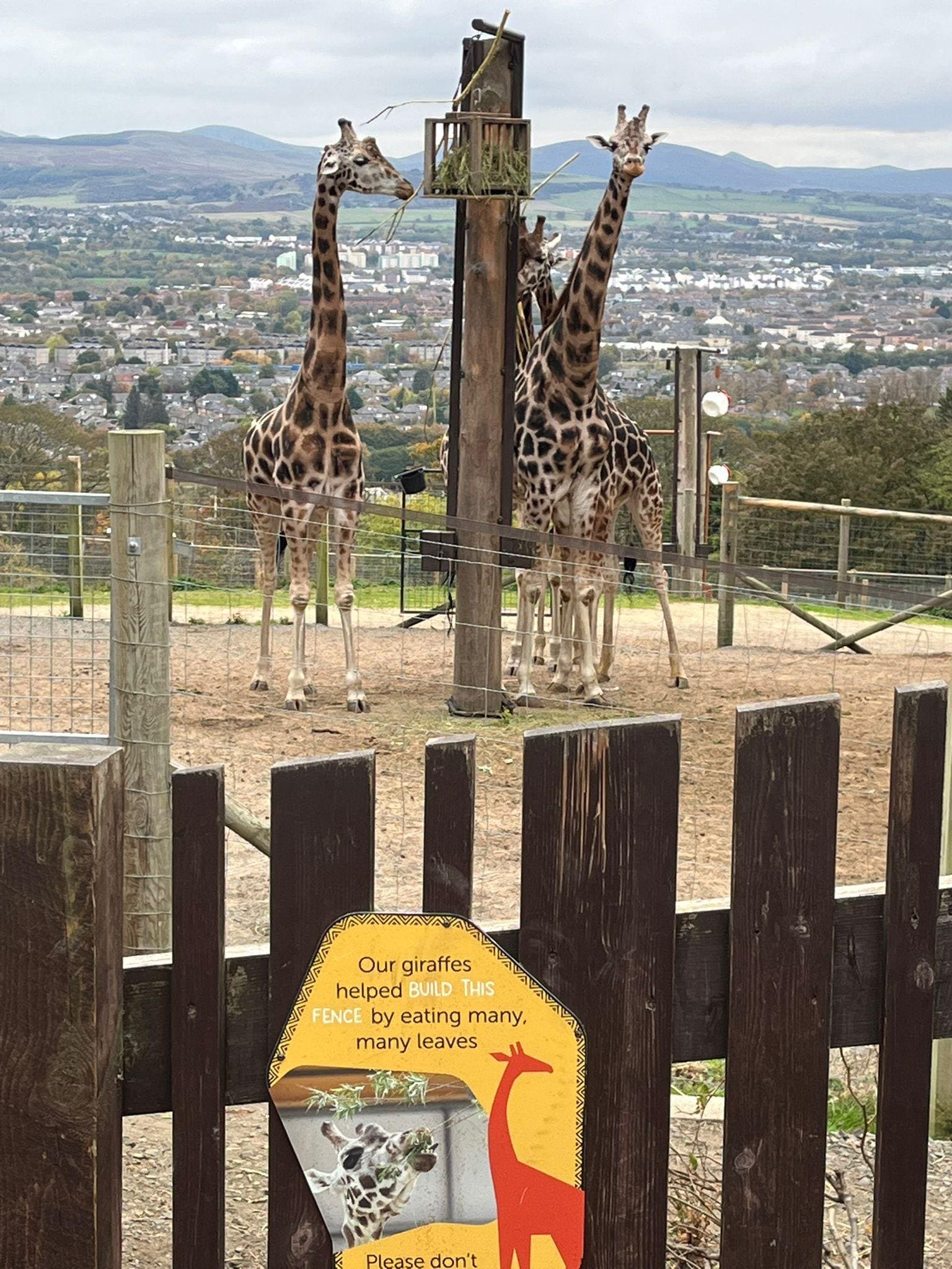 Best view in Edinburgh same view from hotel dining room