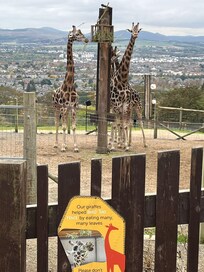 Best view in Edinburgh same view from hotel dining room