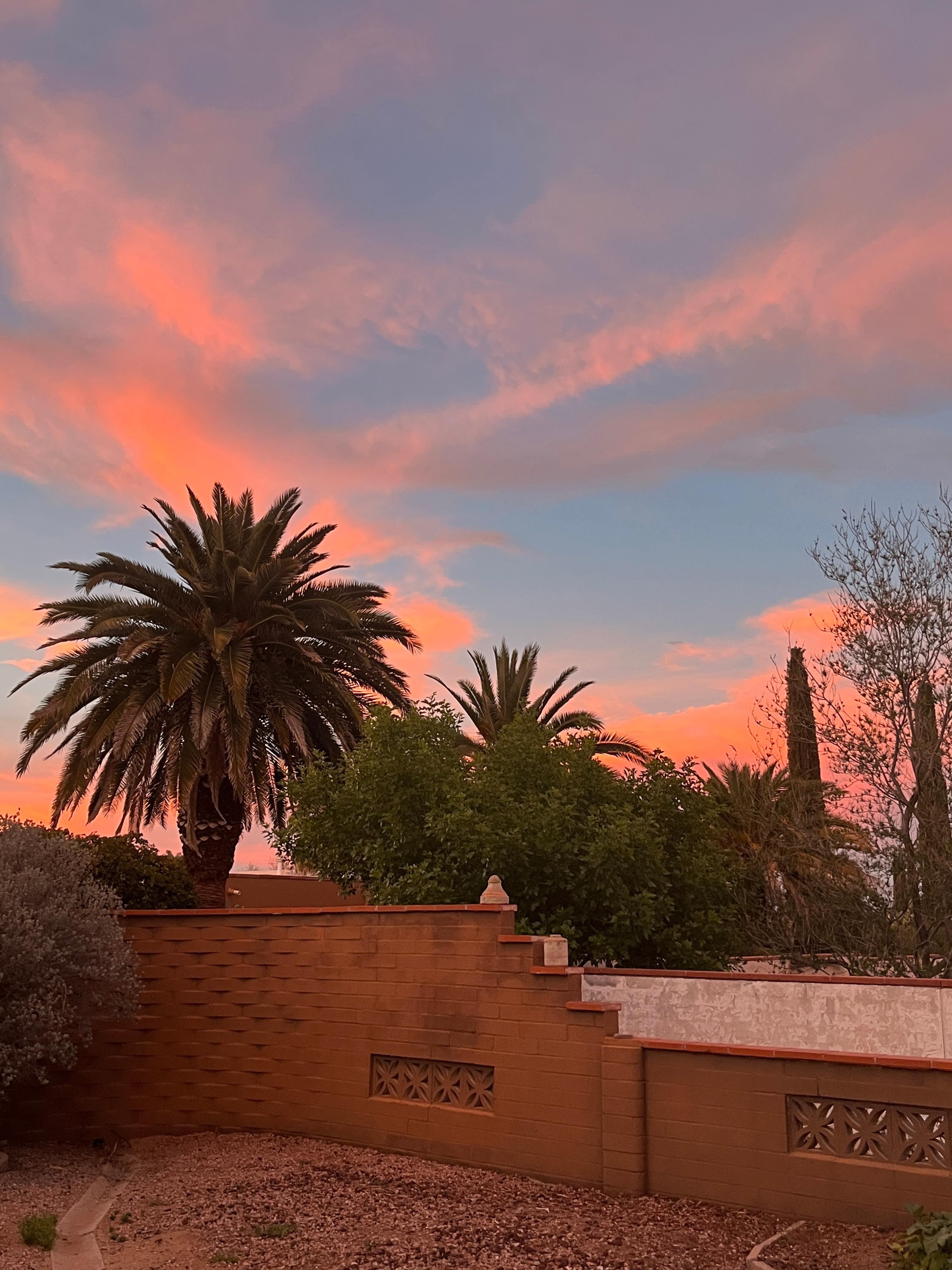 Beautiful skies in the evening both in the back yard and front