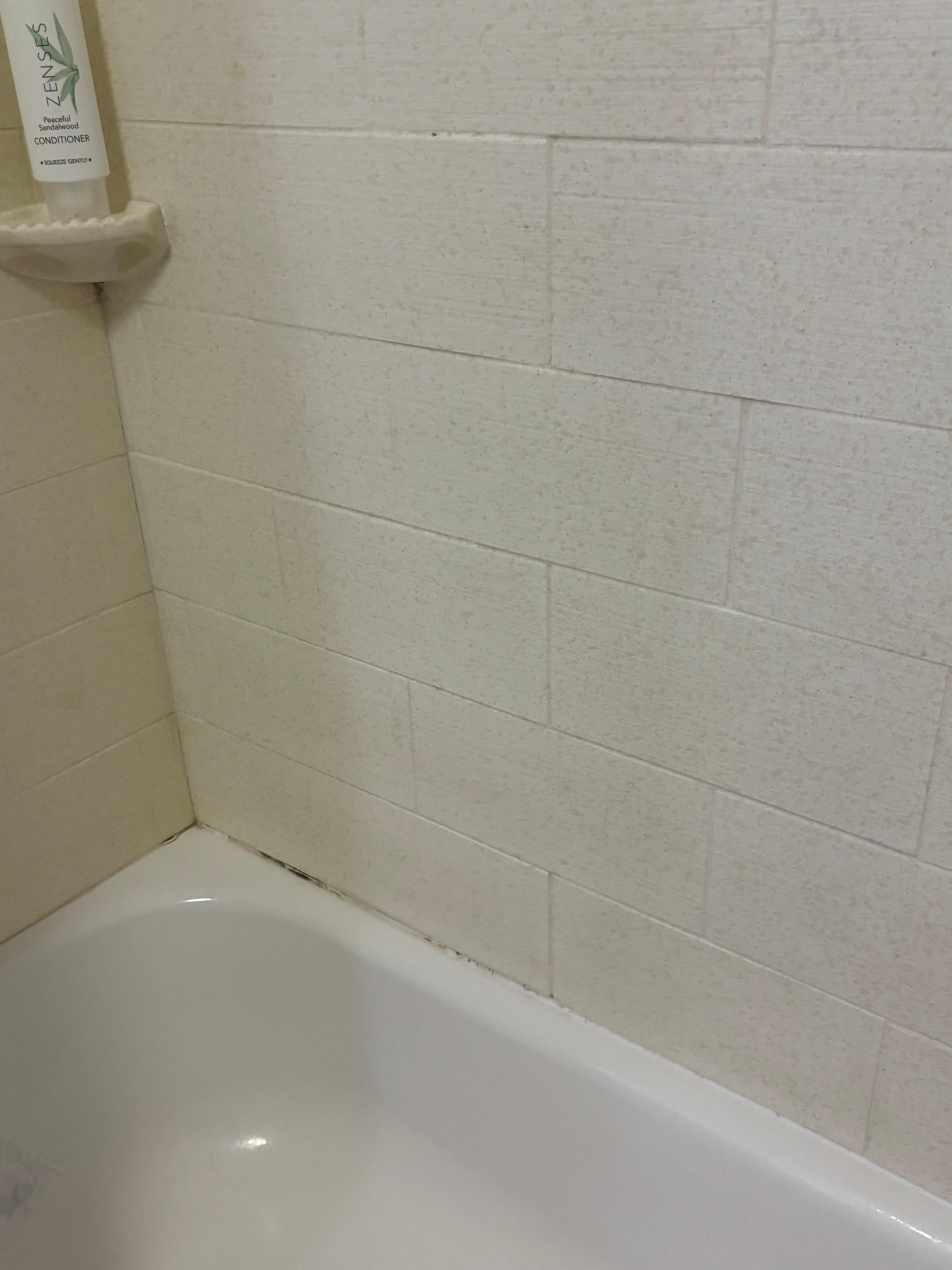 Mildew and soap scum