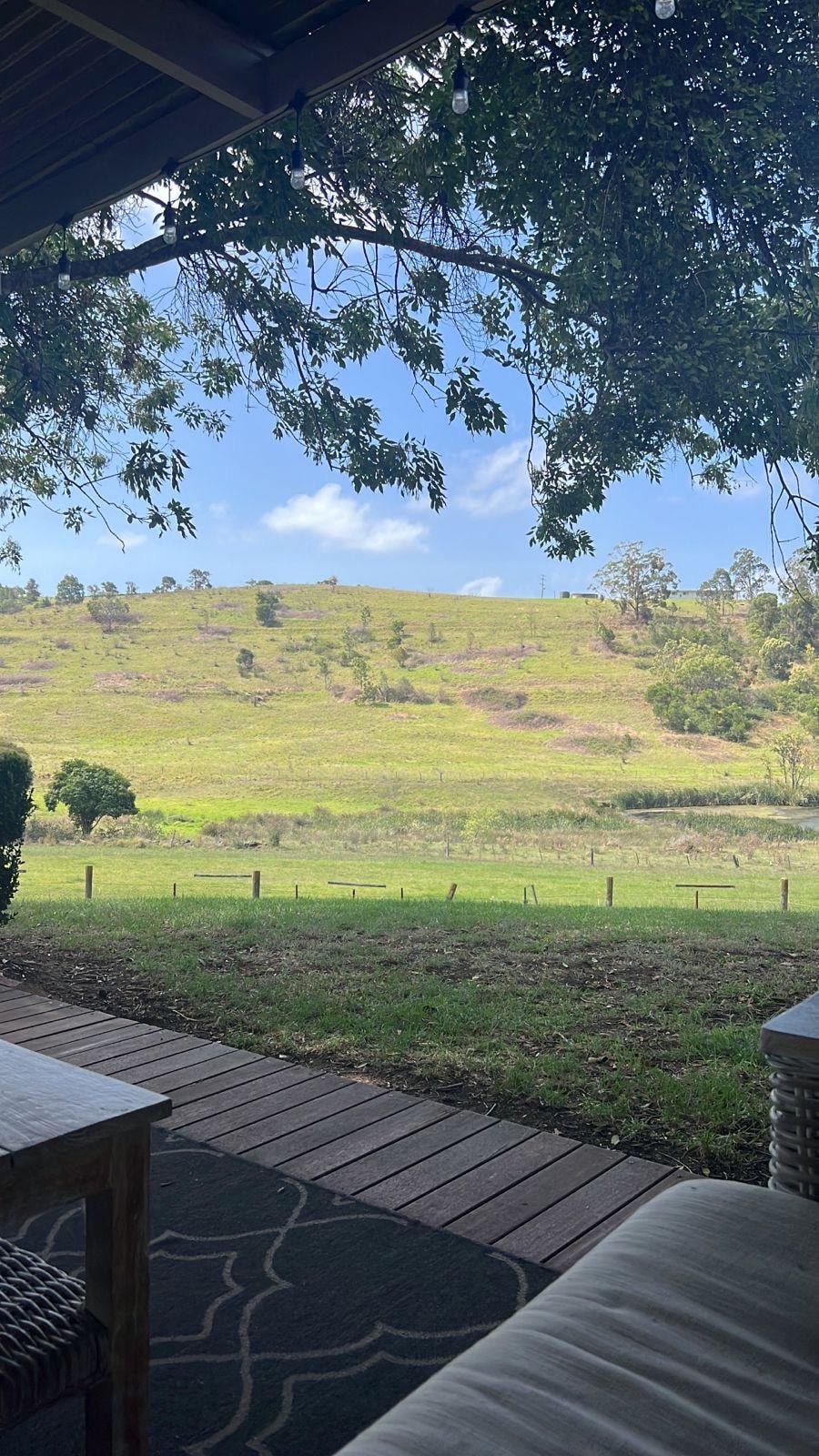 Beautiful views from the property 