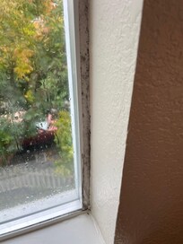 window with mold