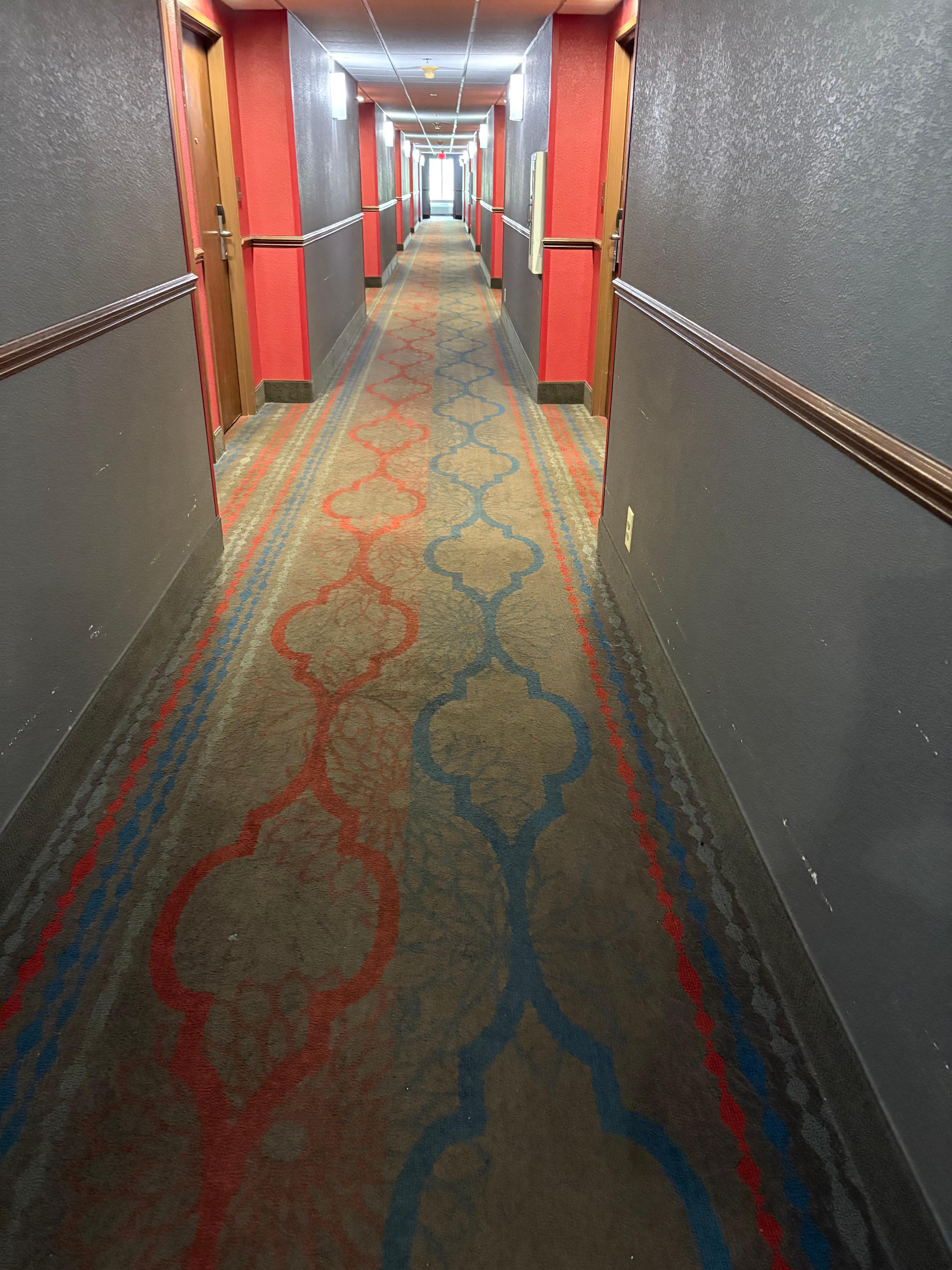 Hallway Looked like hotel in The Shining lol