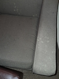 Milky white stains on the couch