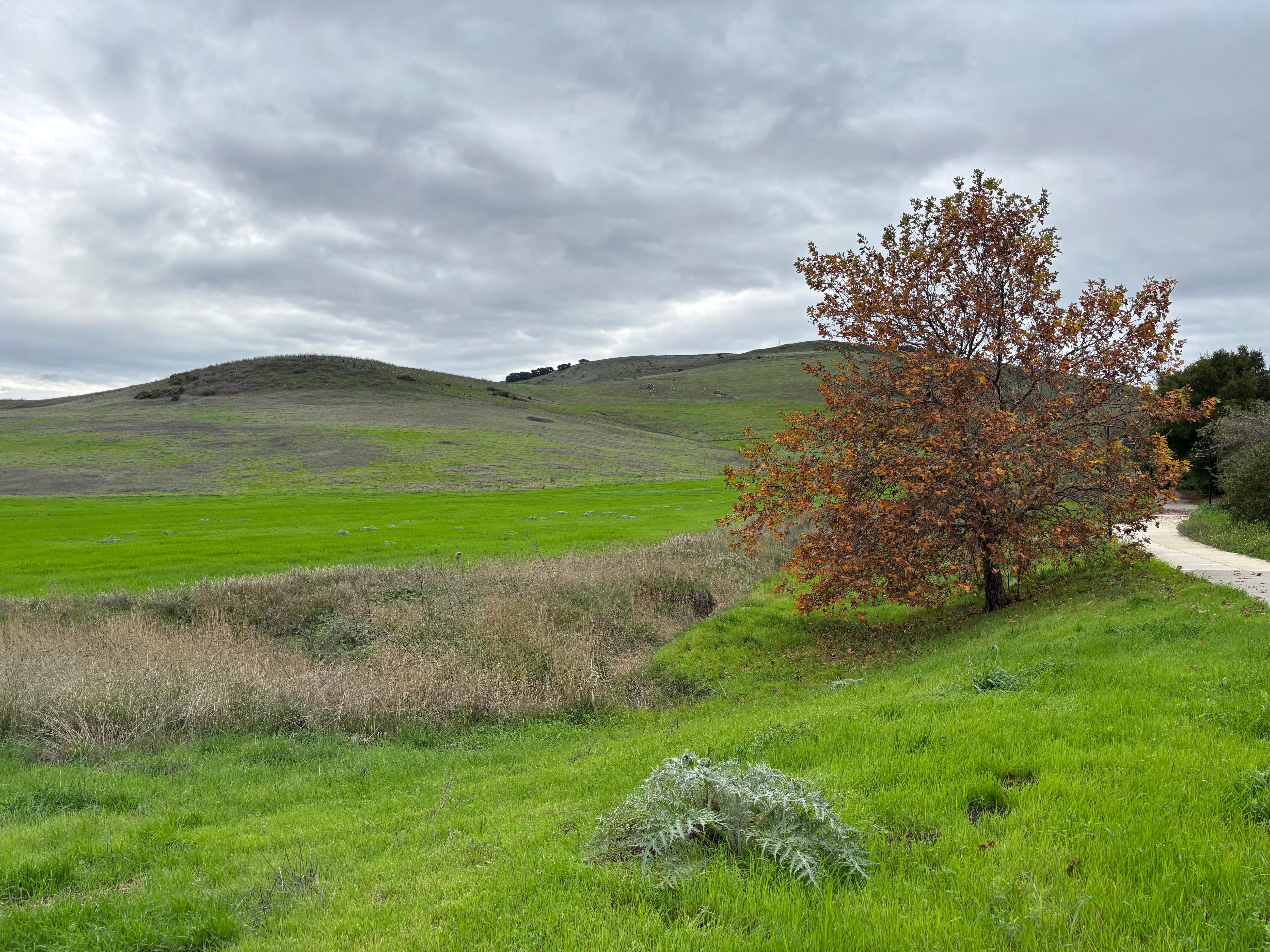 Green space around the area