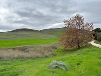 Green space around the area