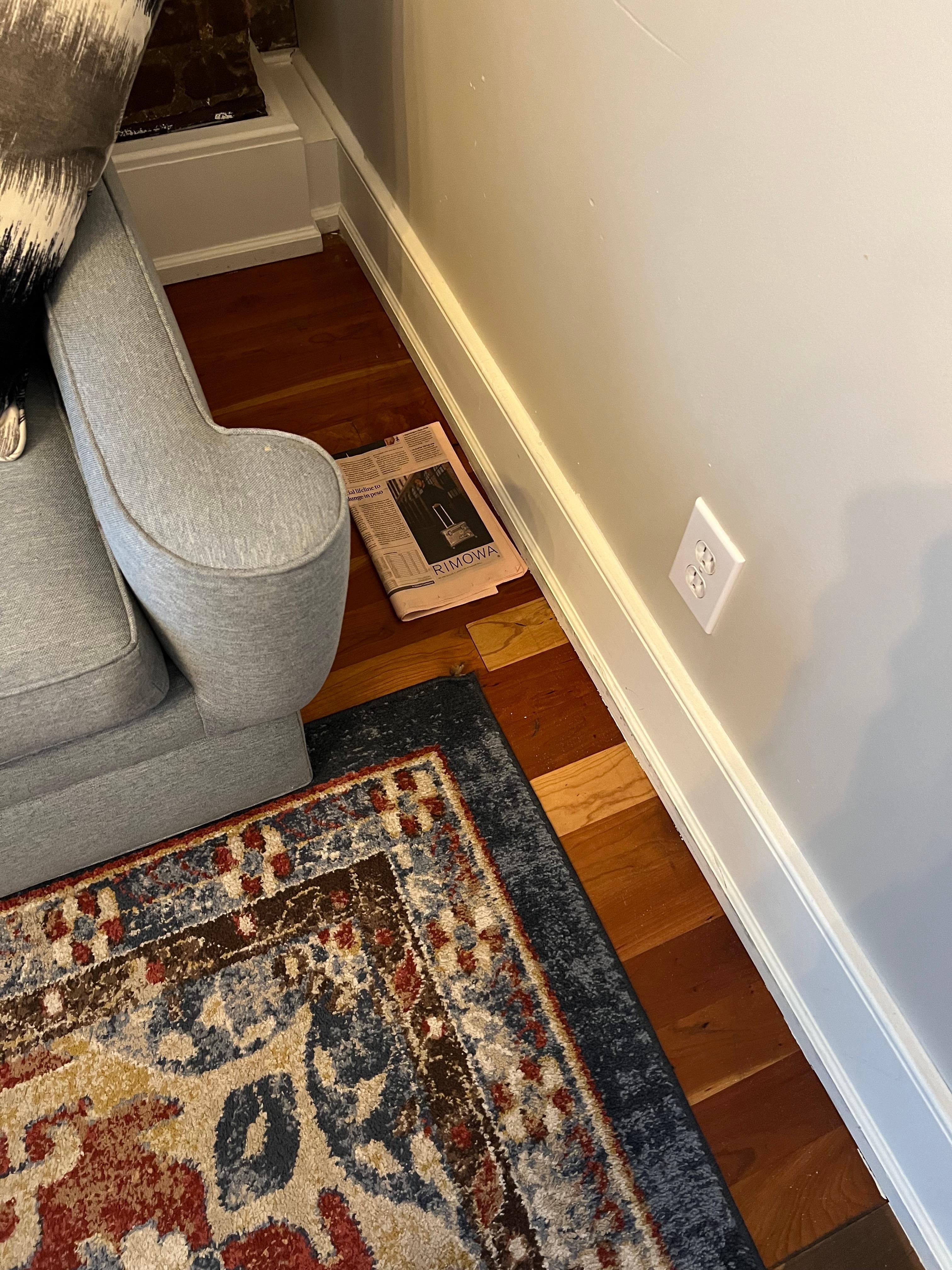 Newspaper and giant cockroaches here