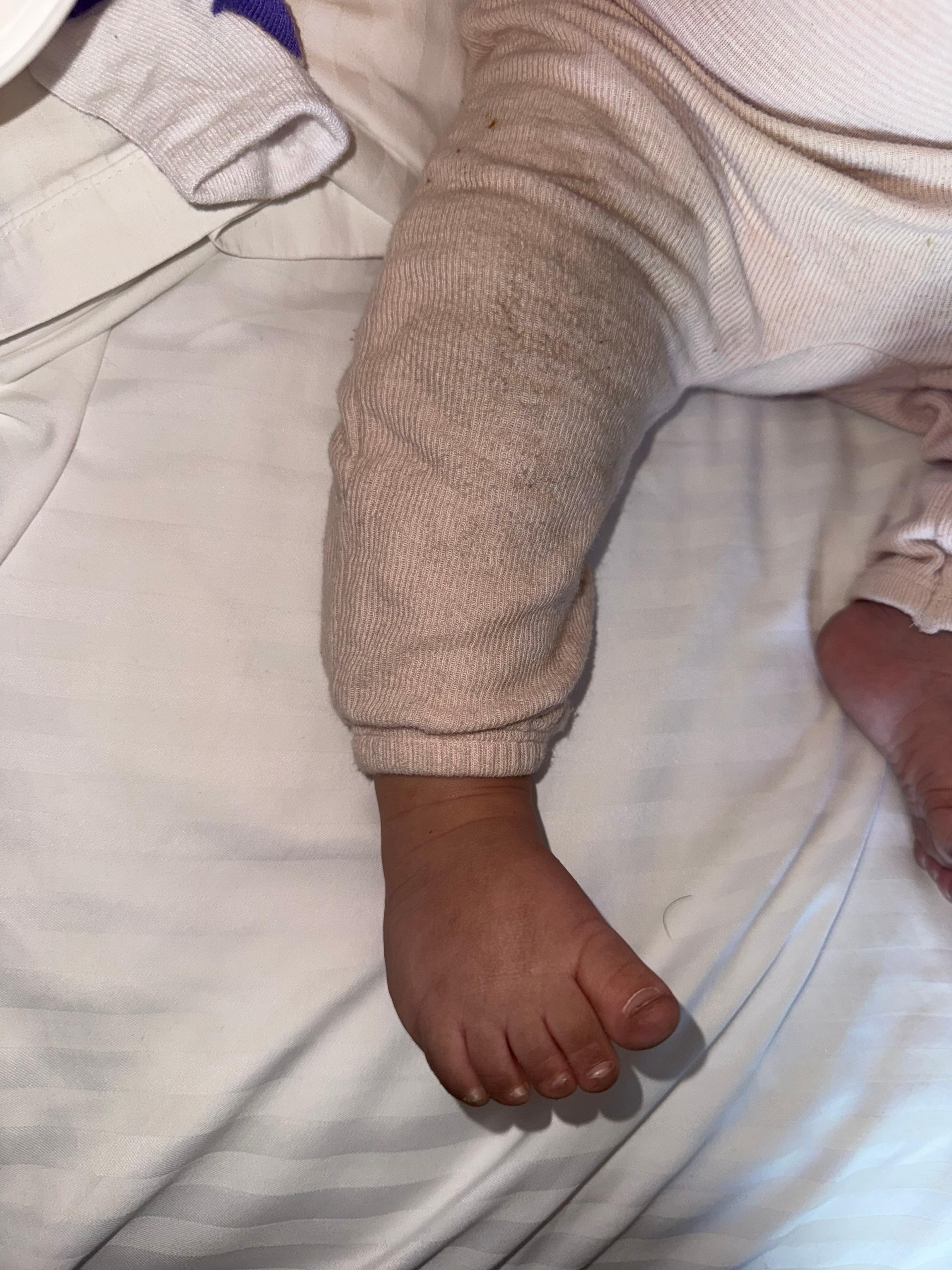 After crawling for 20 minutes 