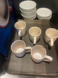 I flipped all 5 and 4 of them were chipped