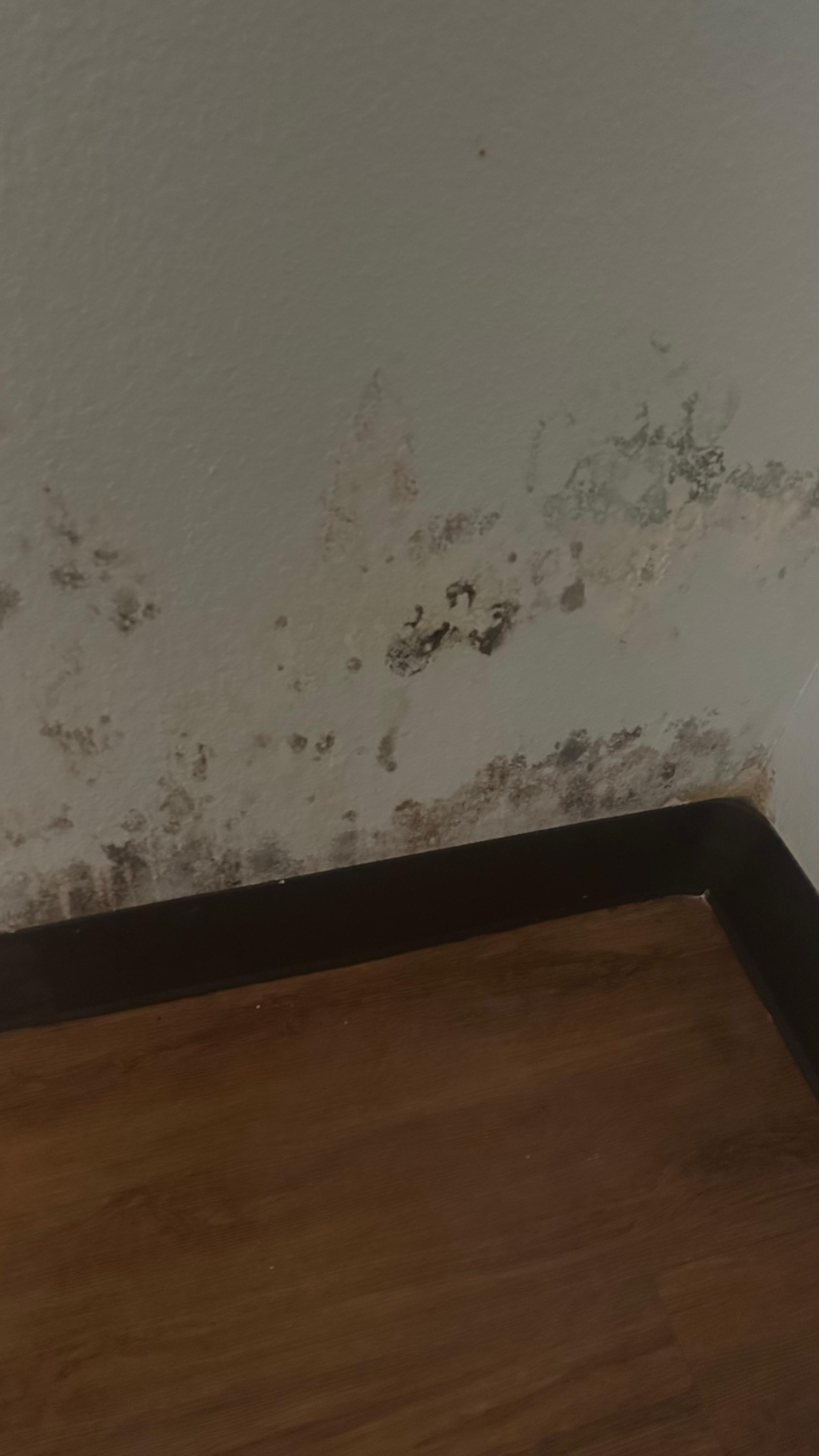 Water damage/mold in dressing area