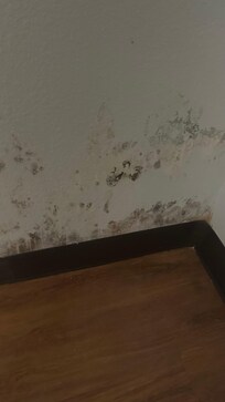 Water damage/mold in dressing area