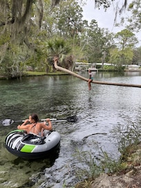 LOTS of space to swim and play in the crystal-clear water.