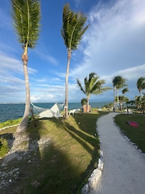 Hammock