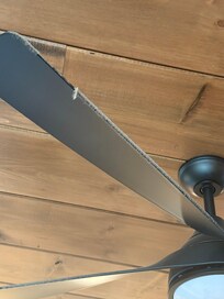 Dust literally hanging from ceiling fans.