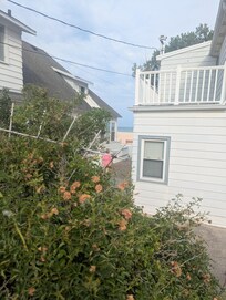 View from the back patio.