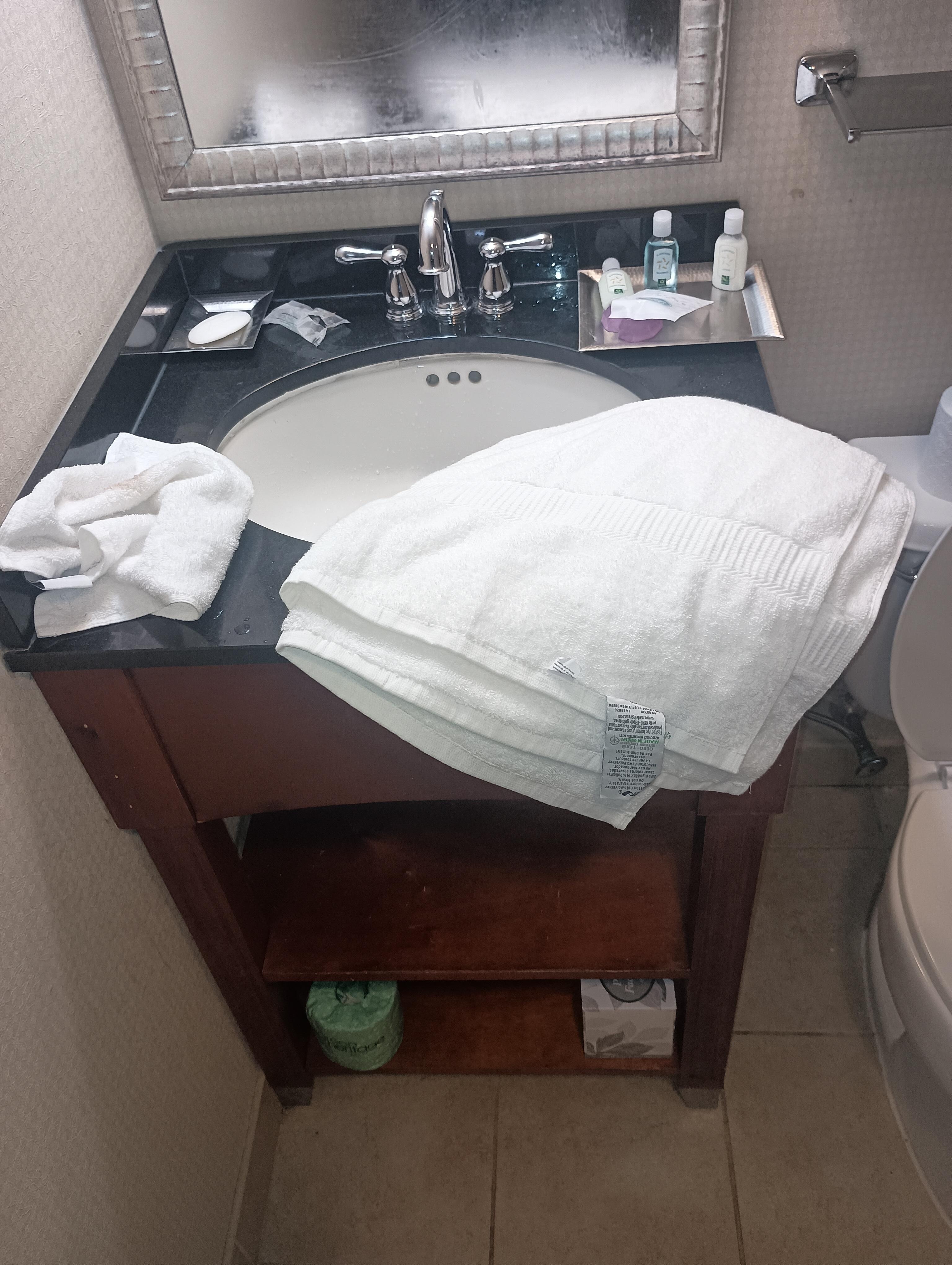 This is the only towel they had in the room.