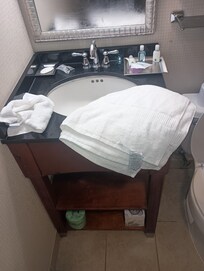 This is the only towel they had in the room.