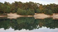 Tolle Spiegelung im Badesee