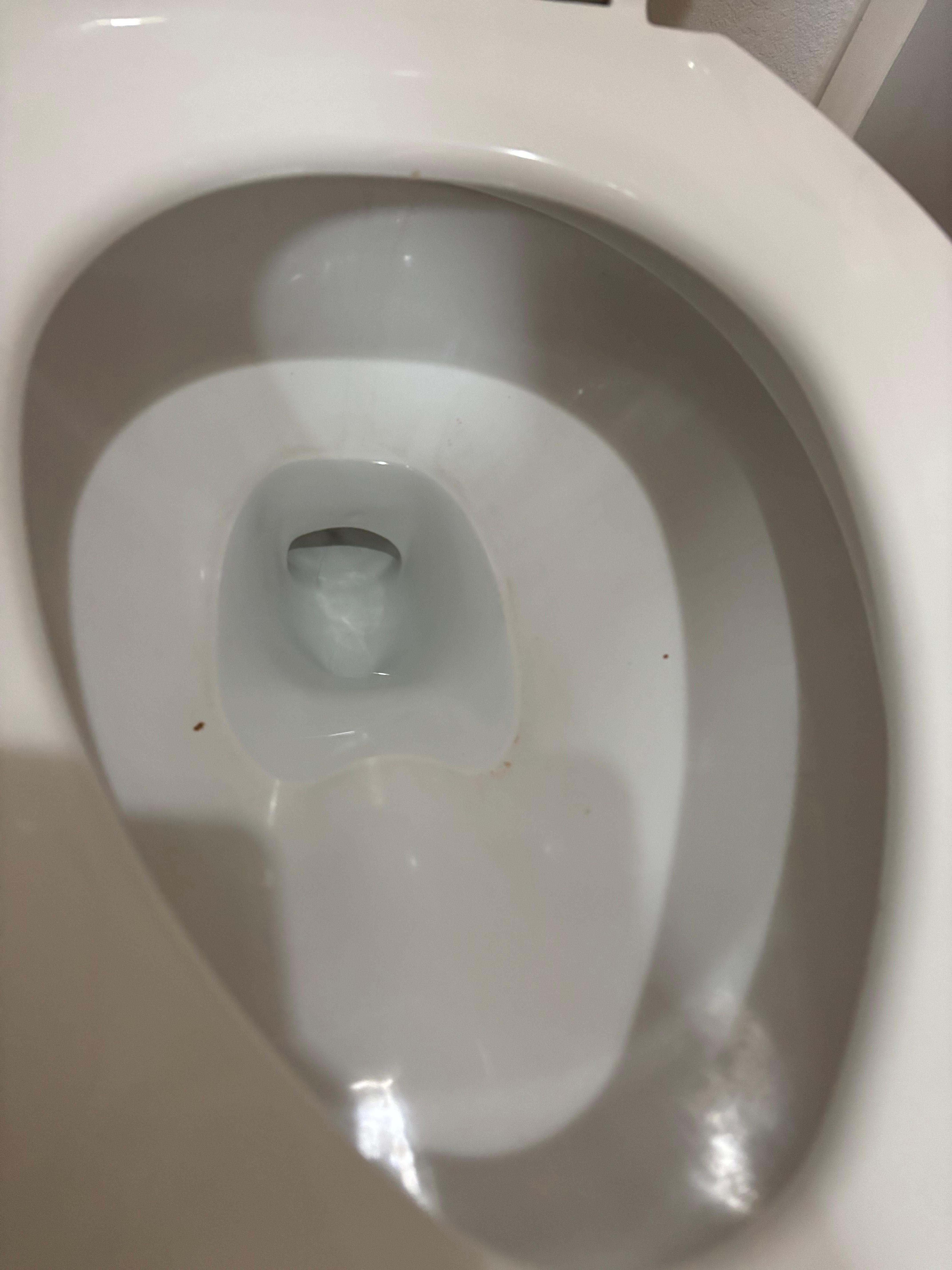 Dirty toilet with feces