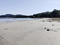 Playa Area Longa