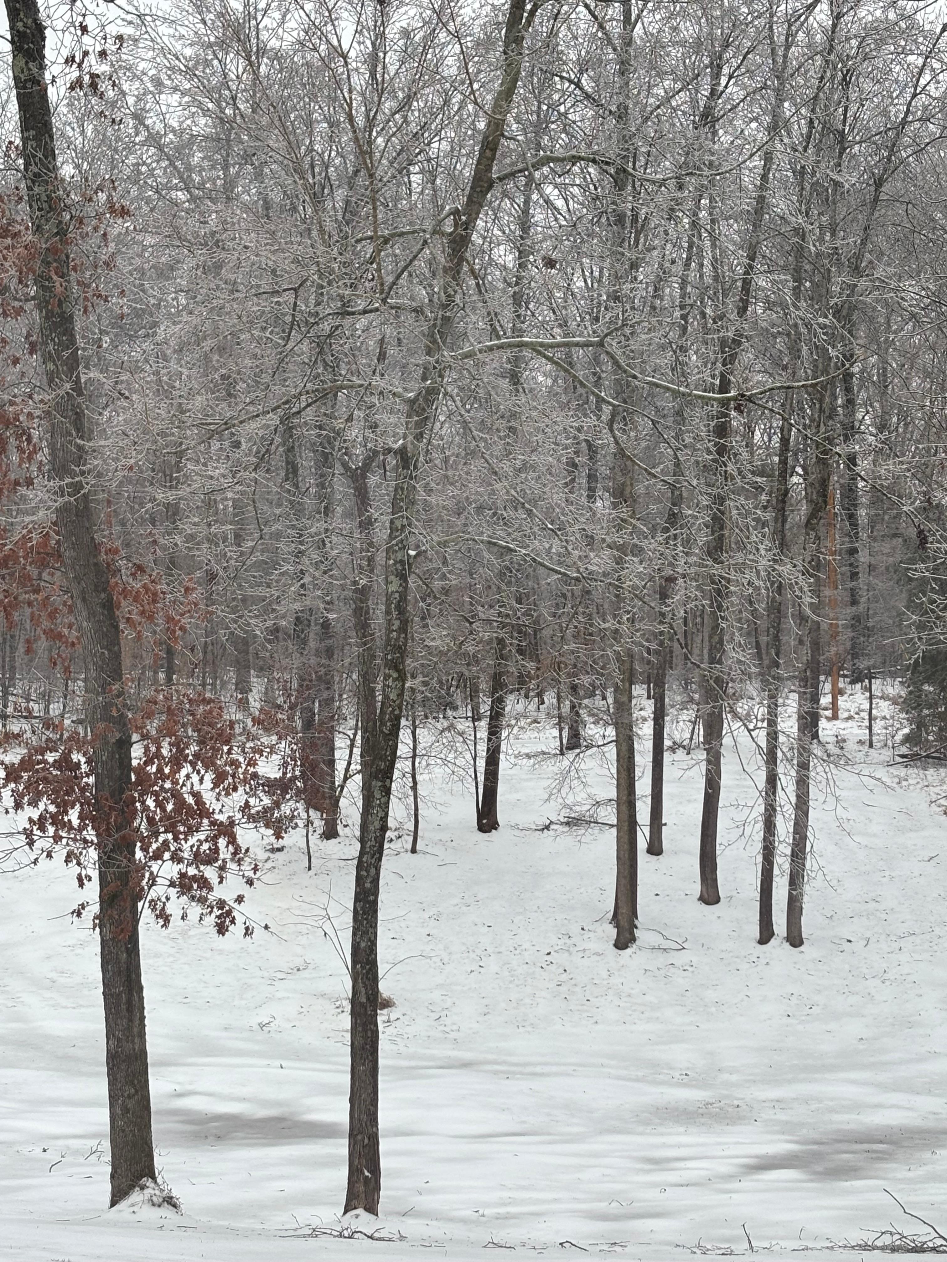 We were there during winter storm Fern. It was cozy and perfect. The trees were beautiful with a coating of ice. 