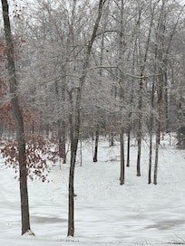 We were there during winter storm Fern. It was cozy and perfect. The trees were beautiful with a coating of ice.