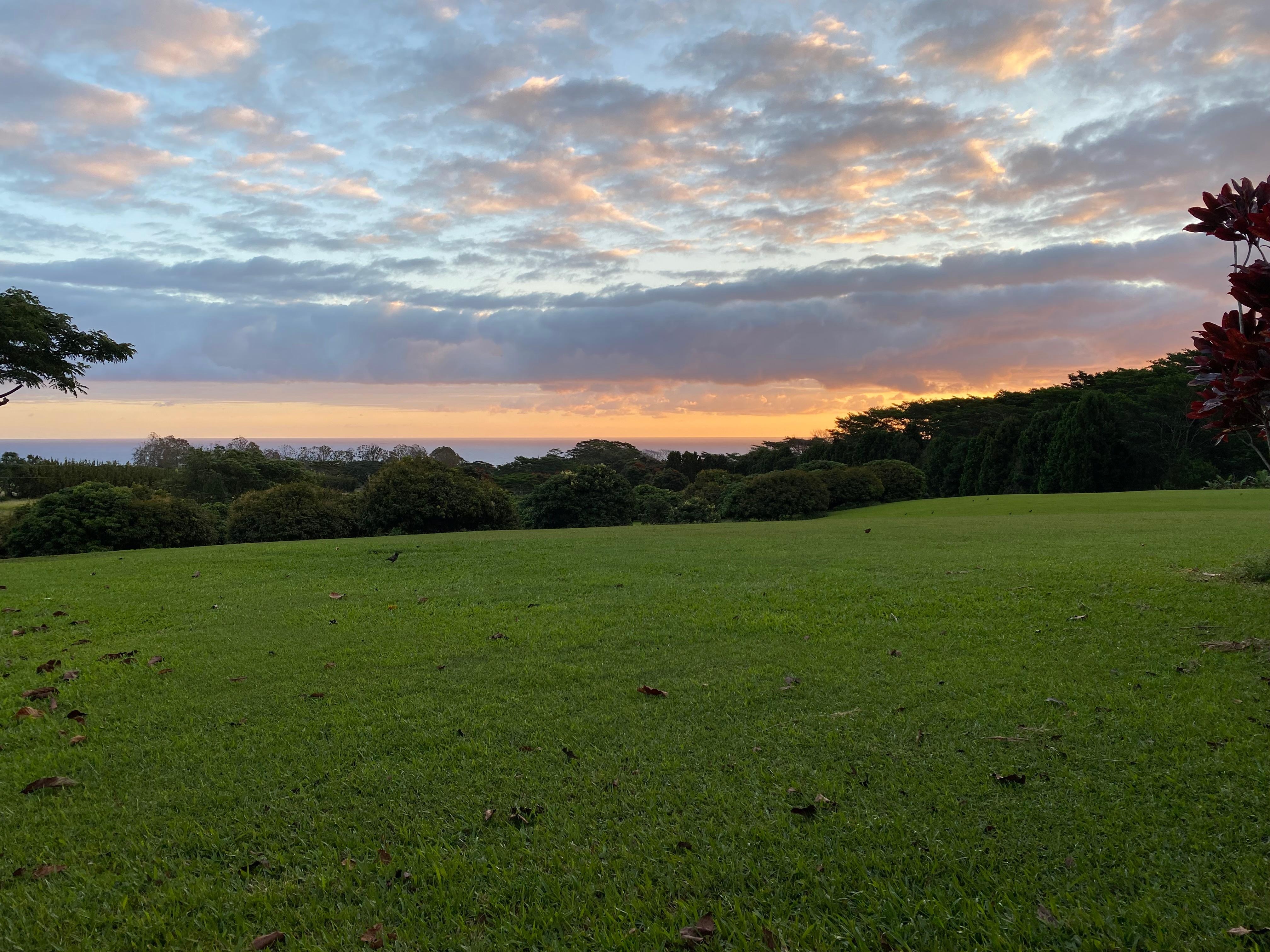Sunrise from the rocking chairs on the lanai - we got up early every day to watch/hear the night shift to day.