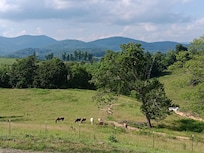 Front porch view