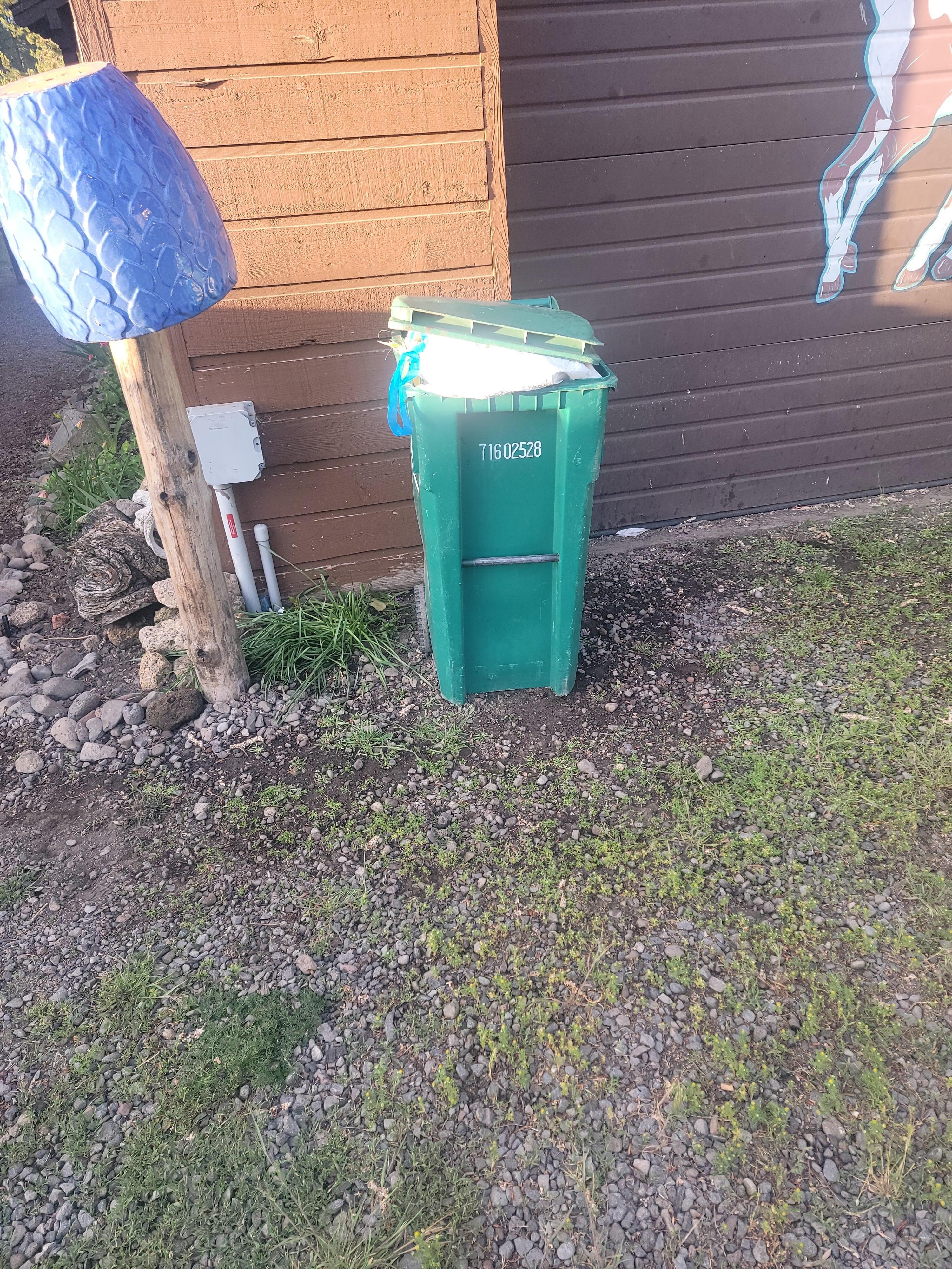 Trash Can Overflowing