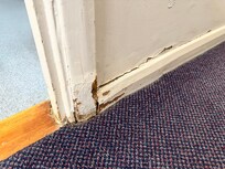 Rotten and broken skirting and frames