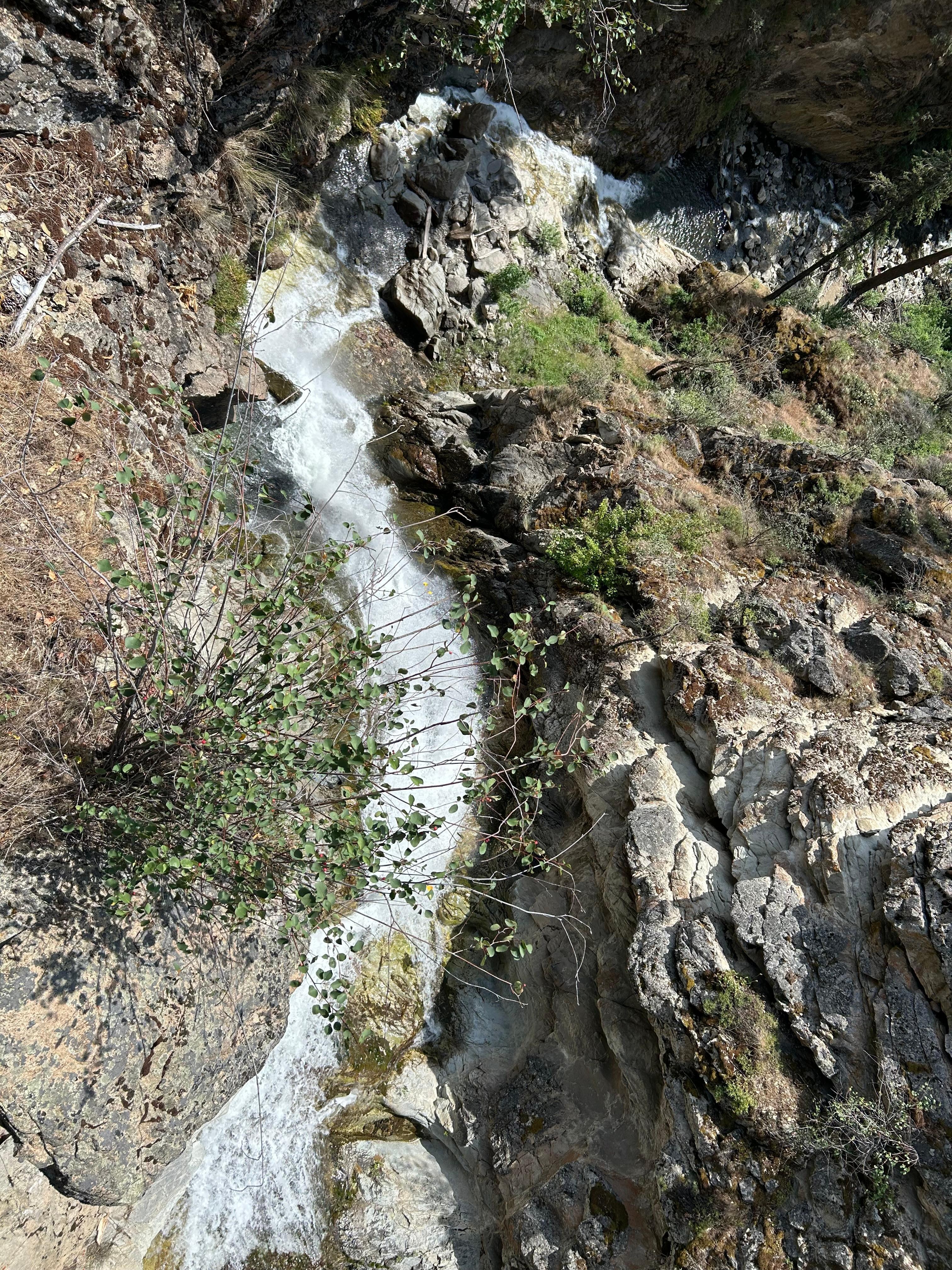 Fintry Falls