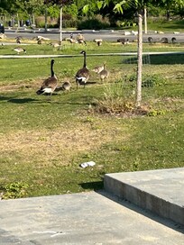 Less than half a mile to beautiful park.