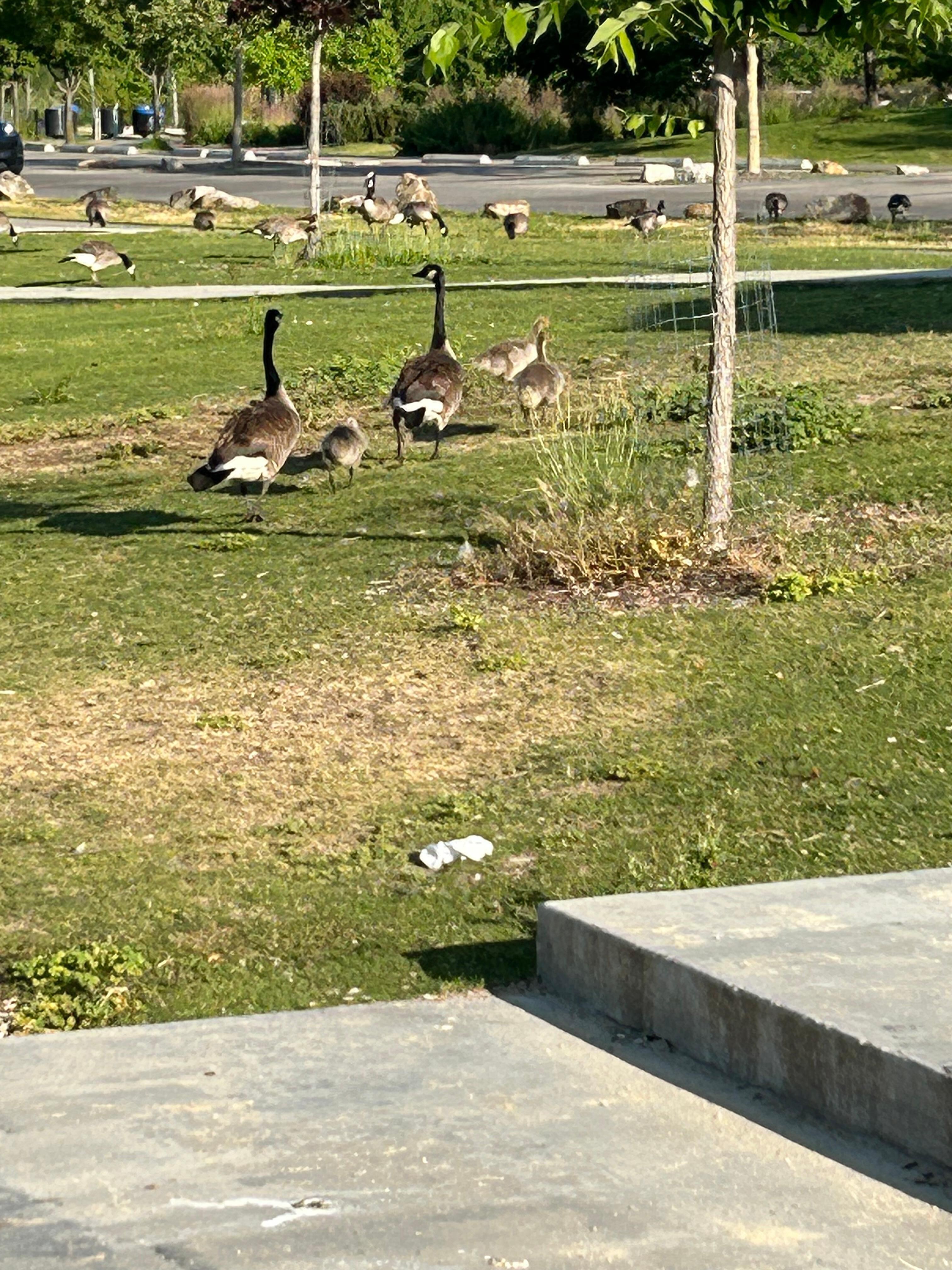 Less than half a mile to beautiful park.