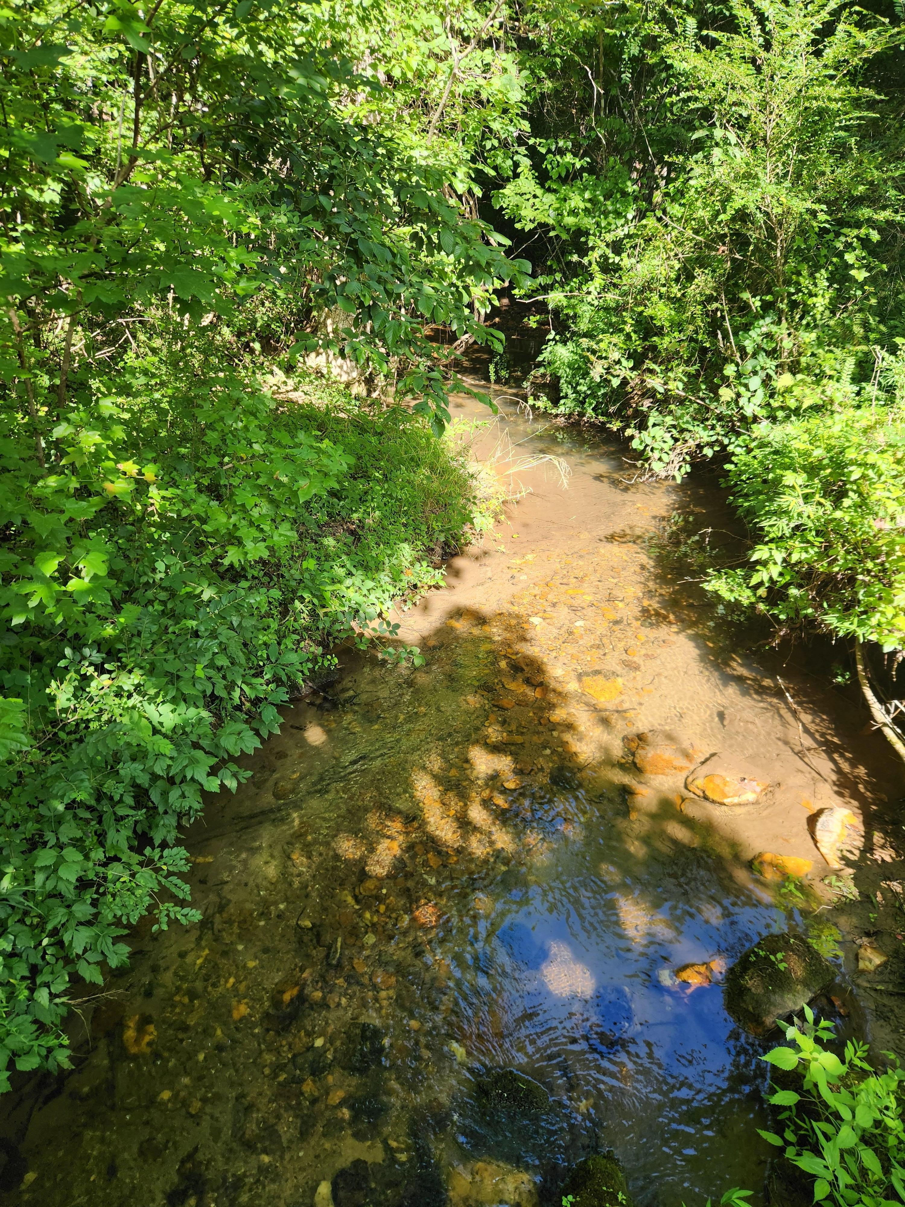 Creeks running throughout with history attached [think stills and panning for gold!]