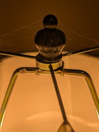 cob webs on the lamps