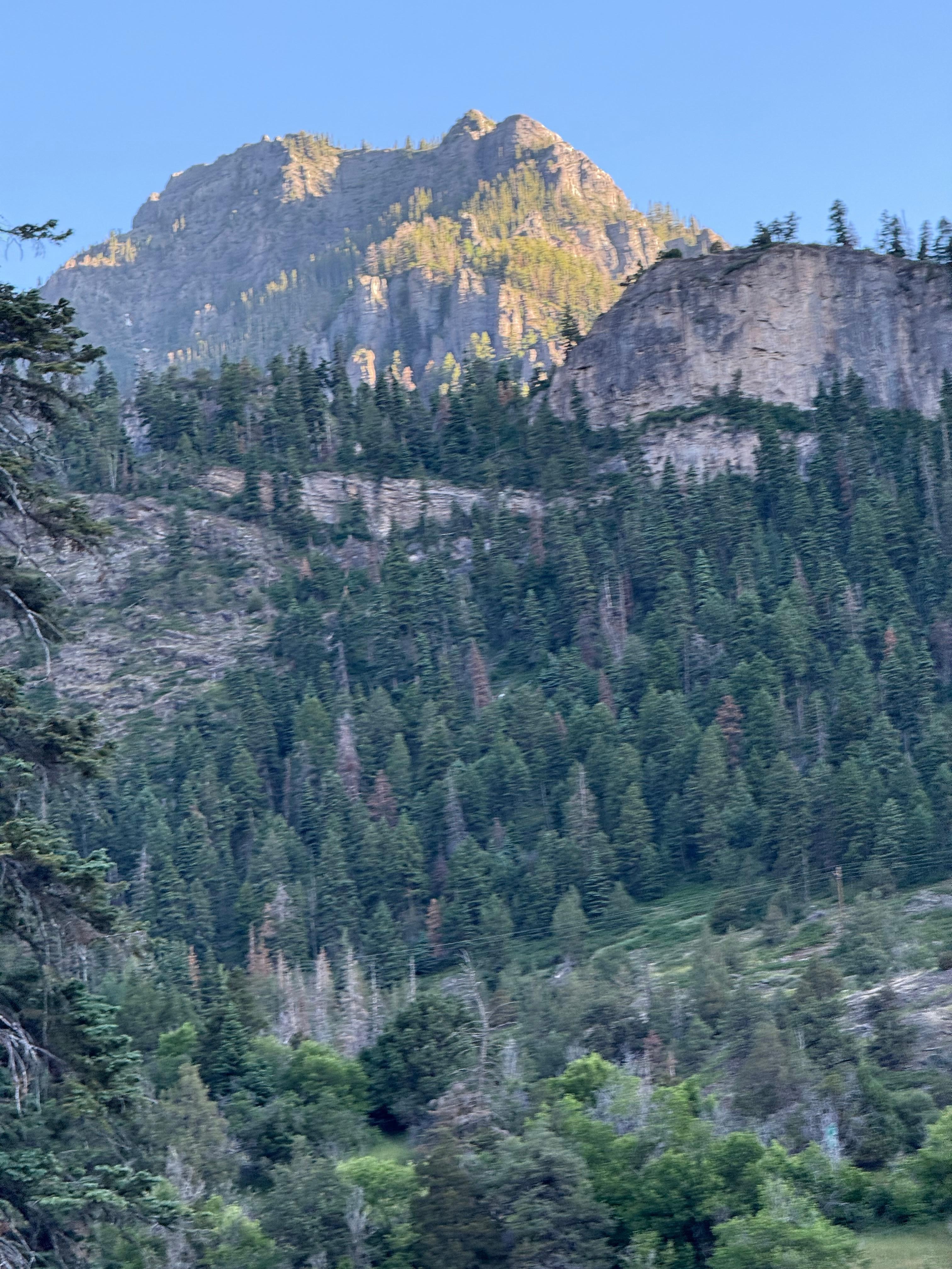 View from the hot springs 