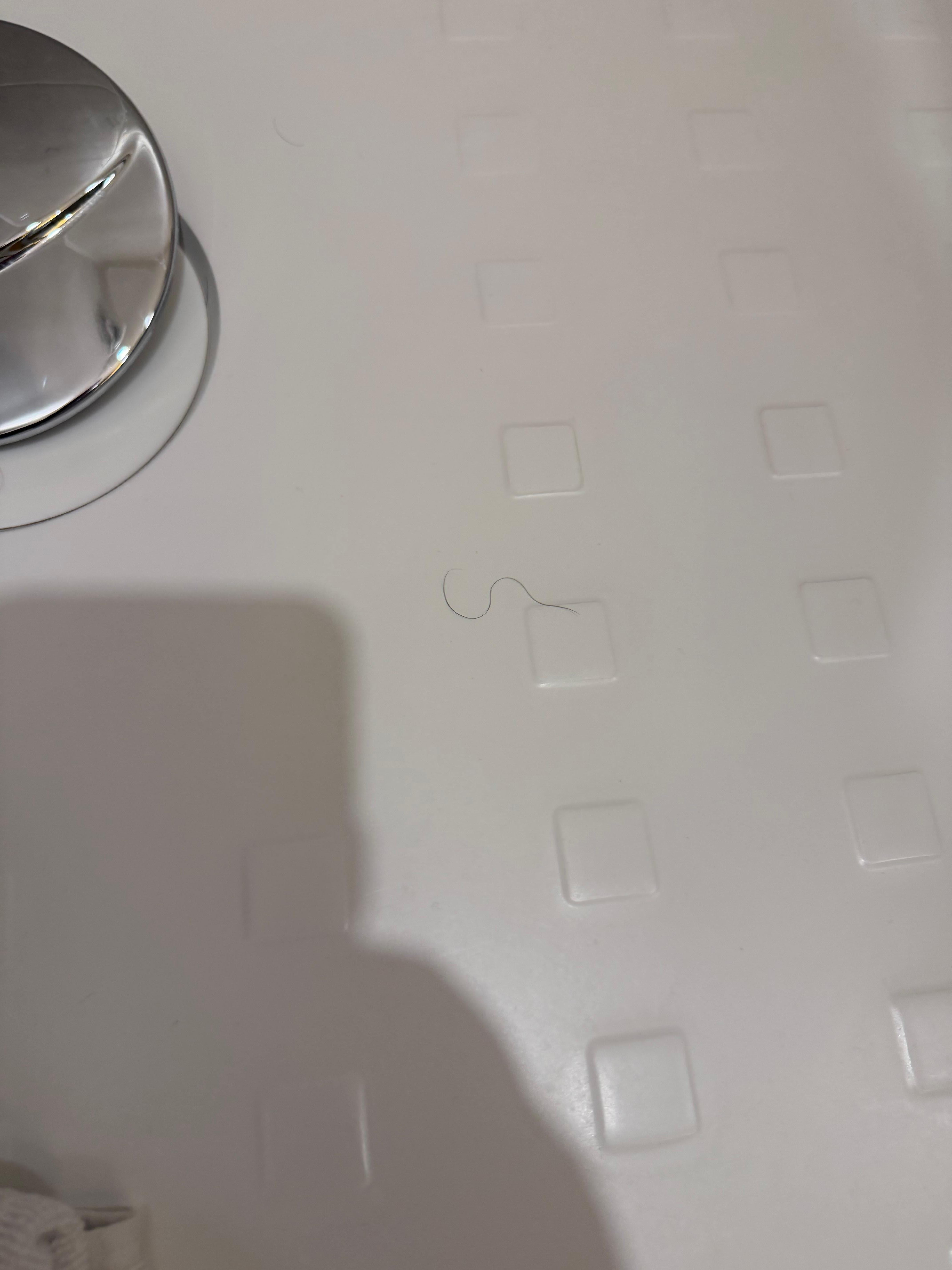 Cheveux ou poils dans le bac de douche 