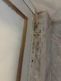 Área de ducha con hongos en piso y pared