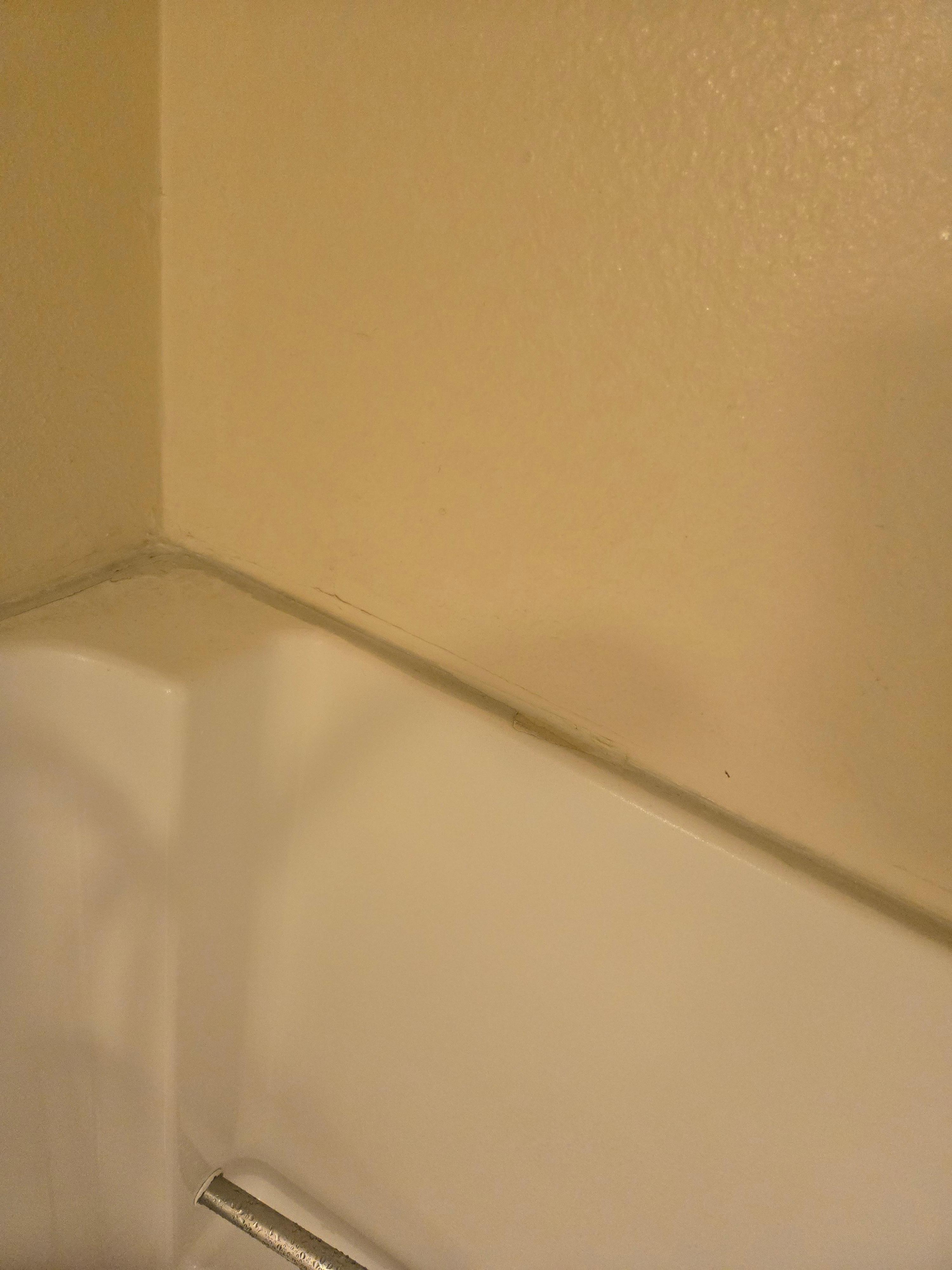 Shower dirty/moldy maybe