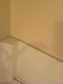 Shower dirty/moldy maybe