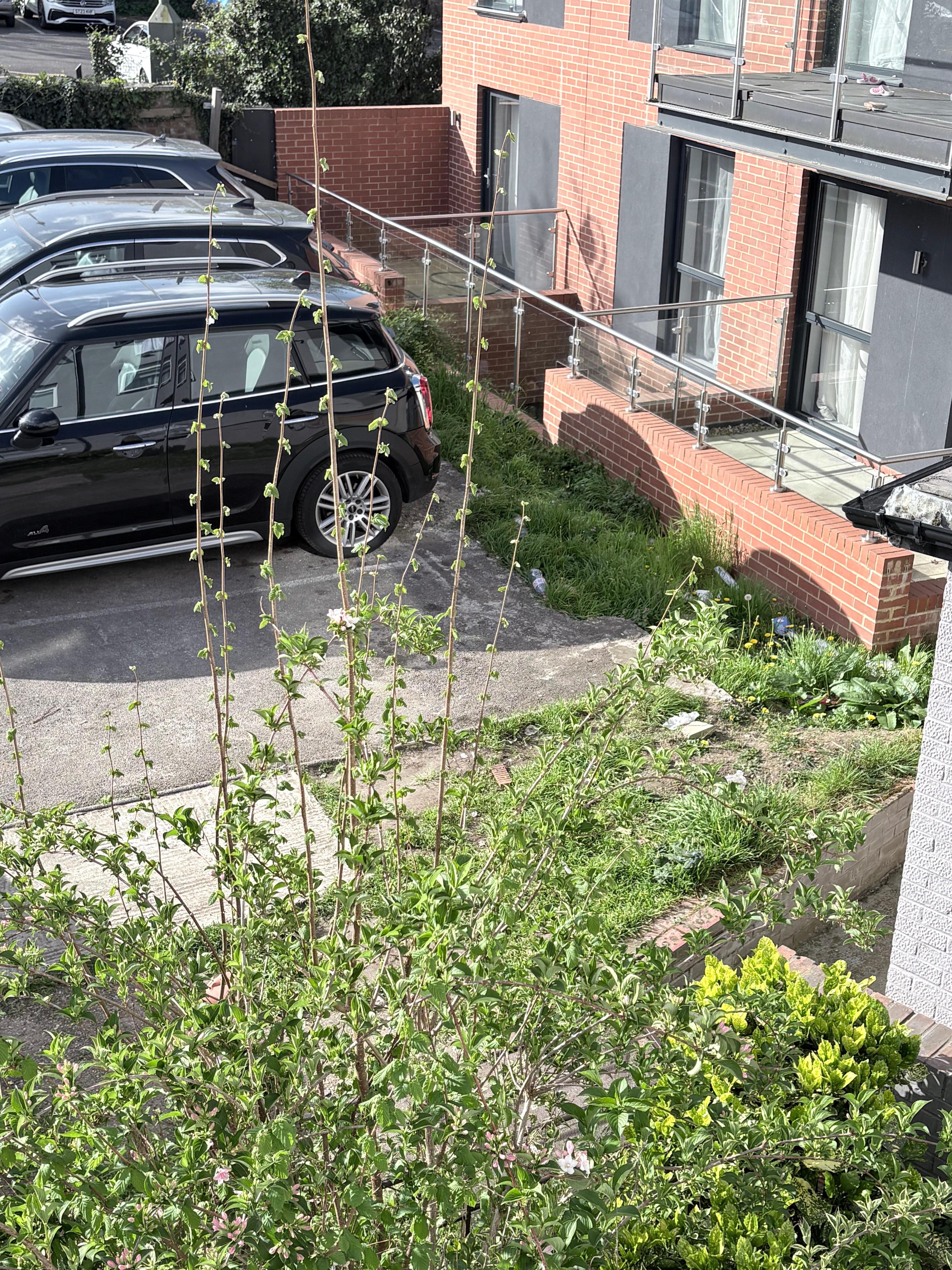 Rubbish in the car park