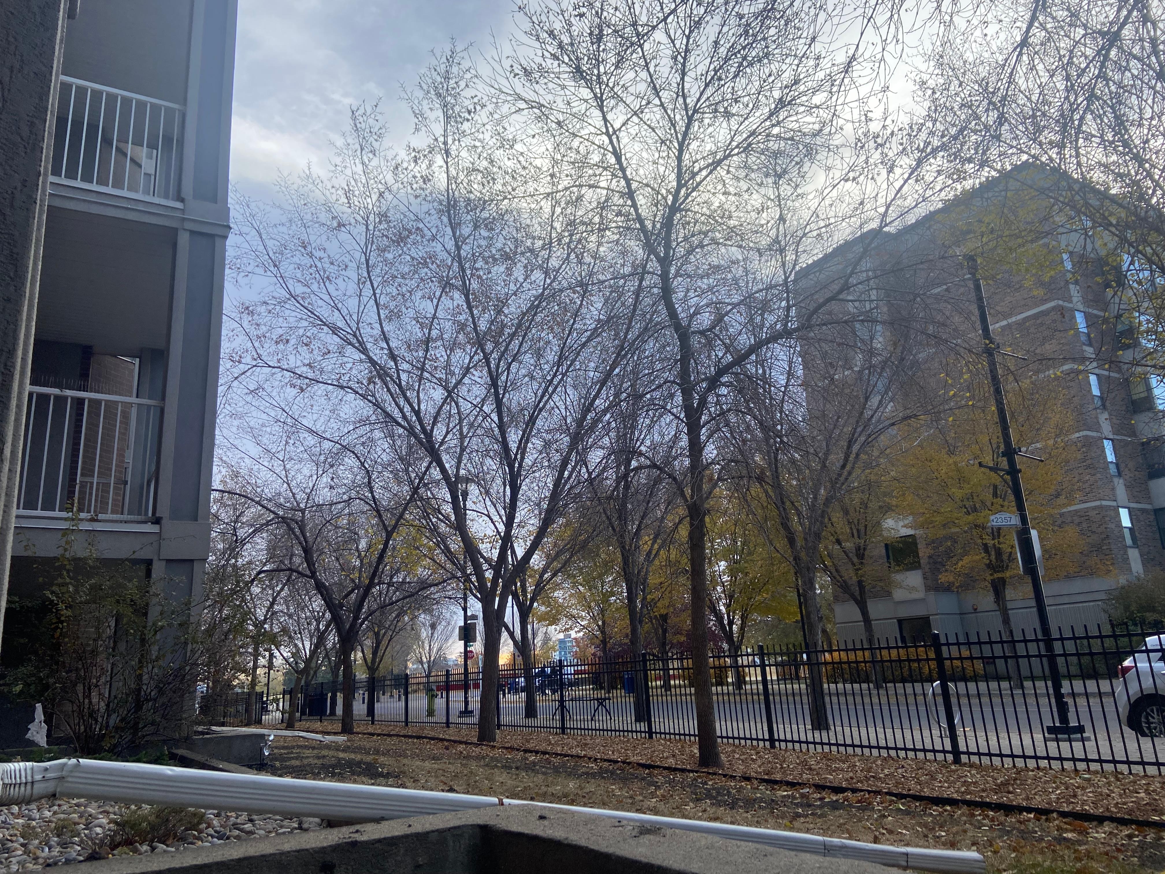 The view from the patio. Absolutely gorgeous and full of city charm!